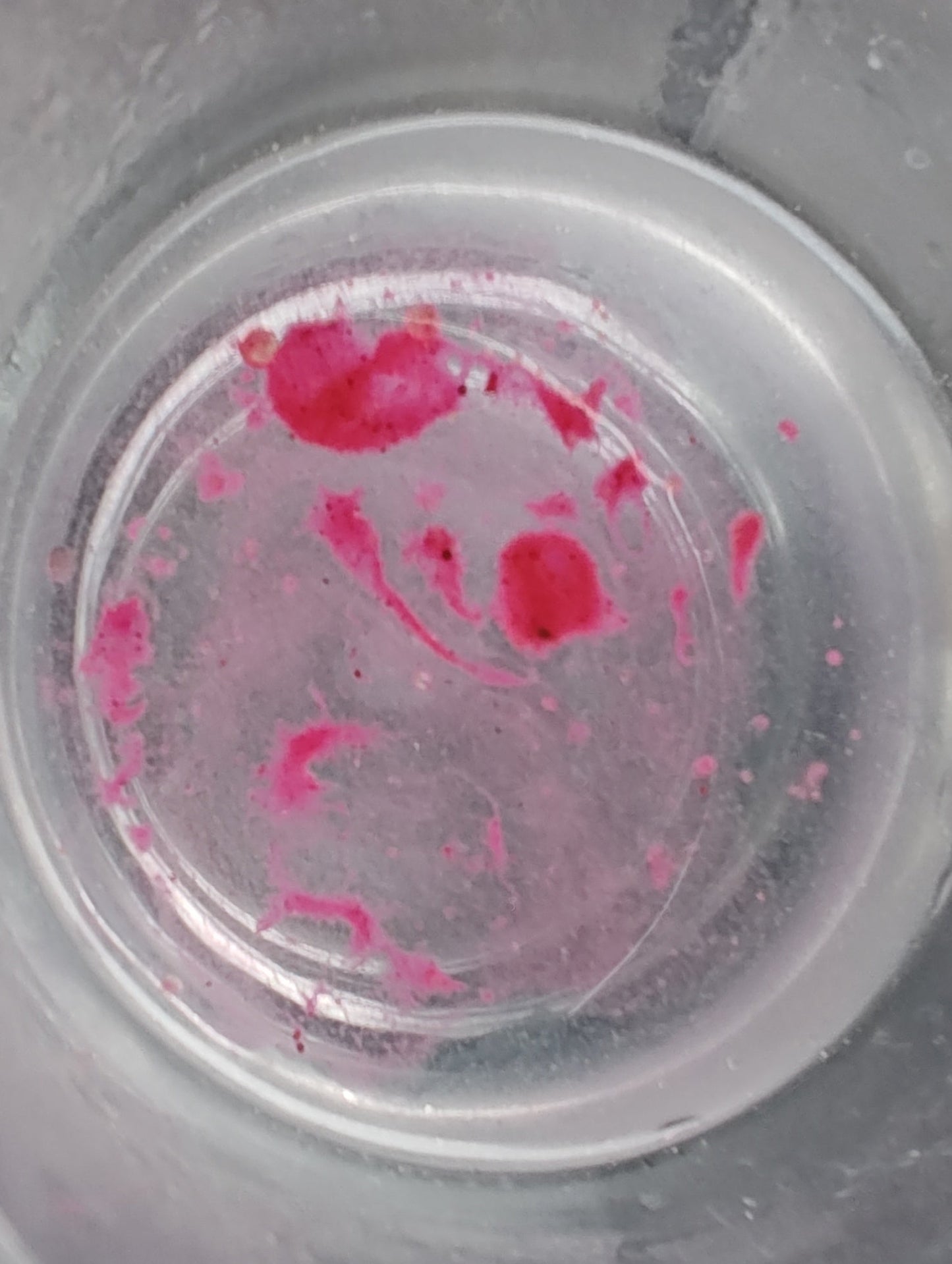 CLP Blood Trail